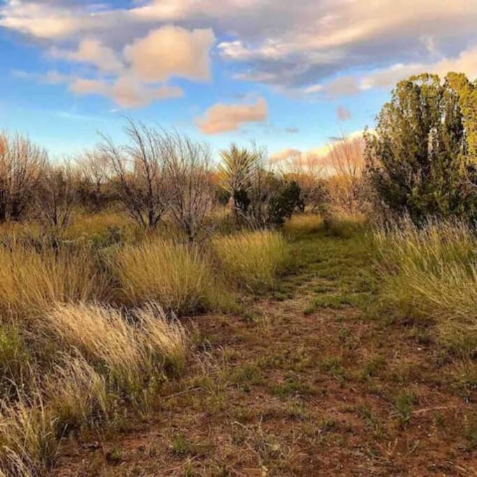 Cottonwood Creek Cabins - Alpine, Tx מראה חיצוני תמונה
