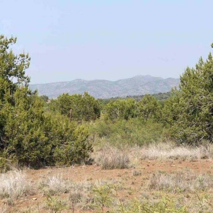 Cottonwood Creek Cabins - Alpine, Tx מראה חיצוני תמונה