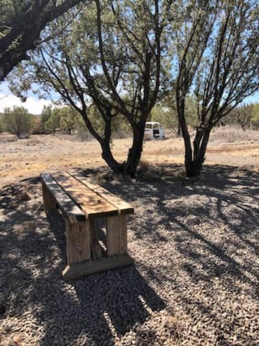 Cottonwood Creek Cabins - Alpine, Tx מראה חיצוני תמונה