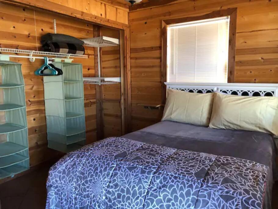 Cottonwood Creek Cabins - Alpine, Tx מראה חיצוני תמונה