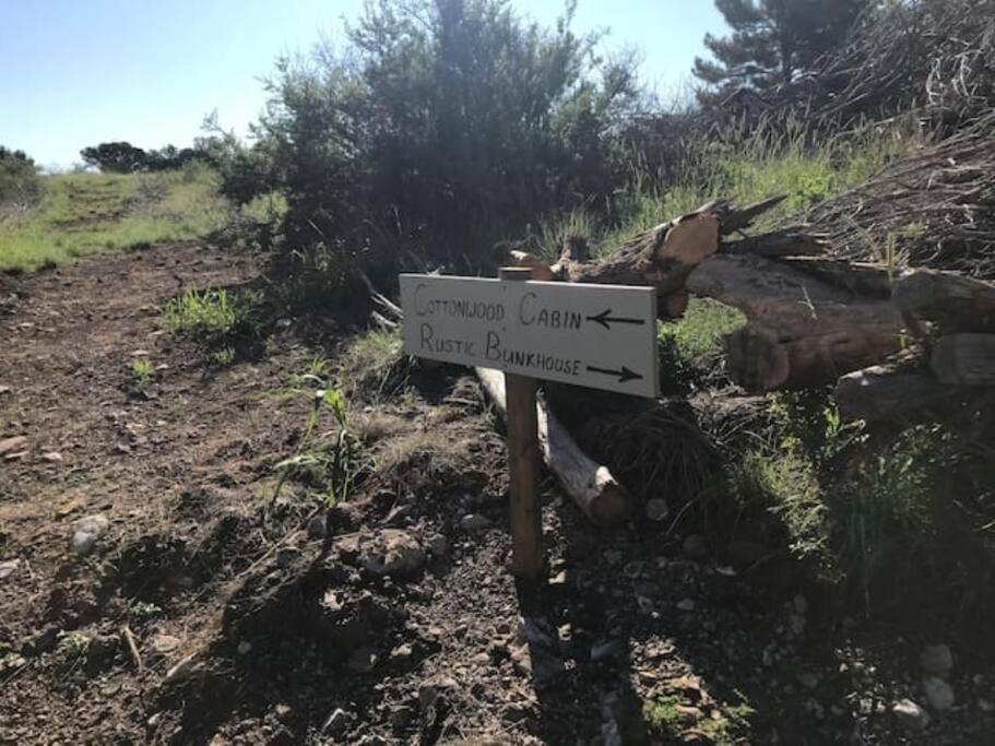 Cottonwood Creek Cabins - Alpine, Tx מראה חיצוני תמונה